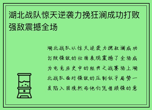 湖北战队惊天逆袭力挽狂澜成功打败强敌震撼全场