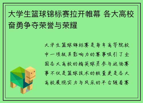 大学生篮球锦标赛拉开帷幕 各大高校奋勇争夺荣誉与荣耀