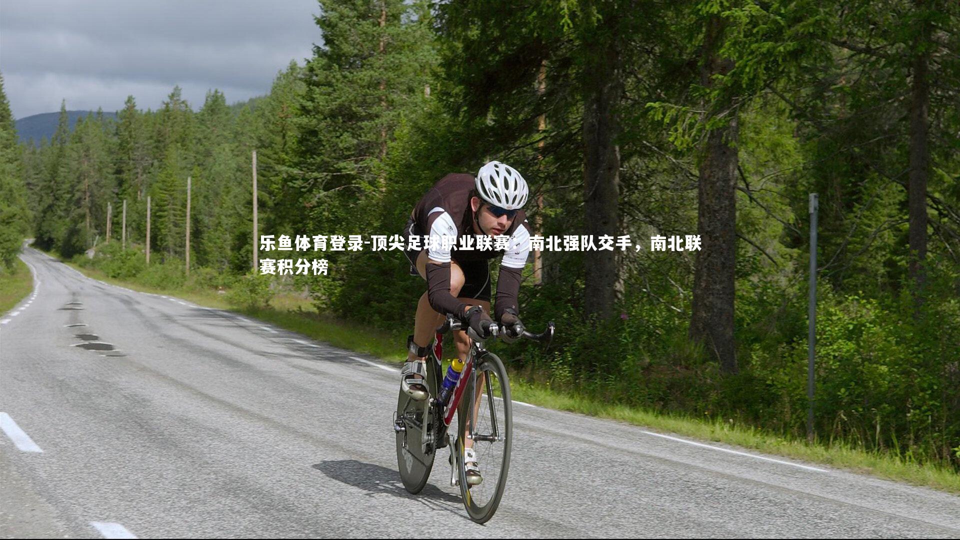 顶尖足球职业联赛：南北强队交手，南北联赛积分榜